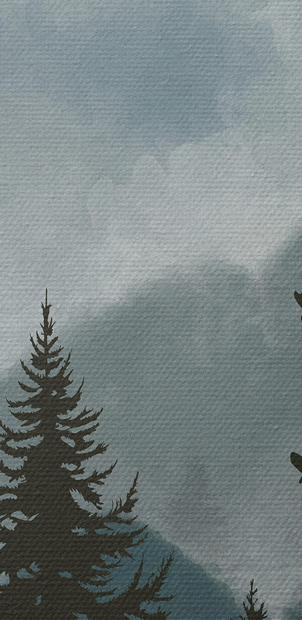 Eine Gruppe von Bäumen in einem Wald Eine Gruppe von Bäumen in einem Wald