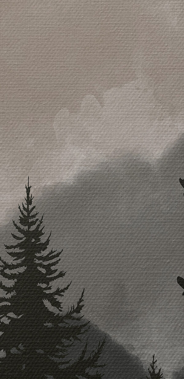 Eine Gruppe von Bäumen in einem Wald Eine Gruppe von Bäumen in einem Wald