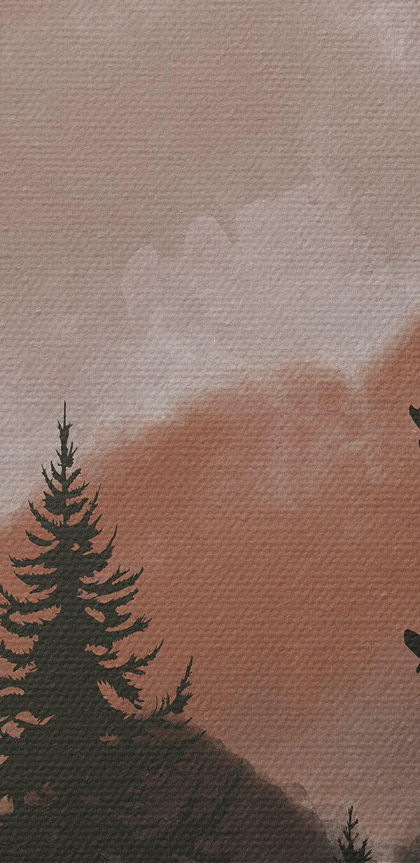 Eine Gruppe von Bäumen in einem Wald Eine Gruppe von Bäumen in einem Wald