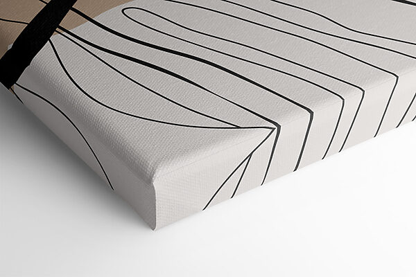 A close up of a leaf