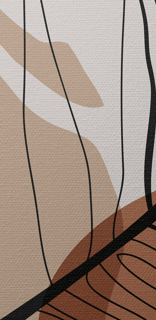 A close up of a leaf