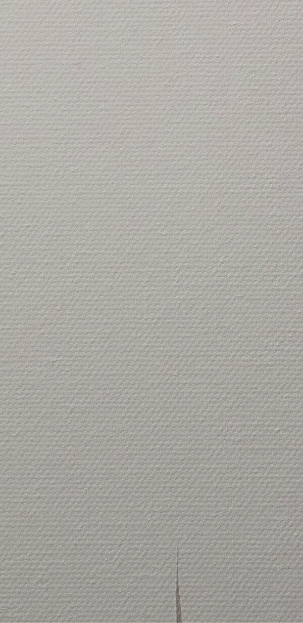 Ein schwarz-weißes Kunstwerk Ein schwarz-weißes Kunstwerk
