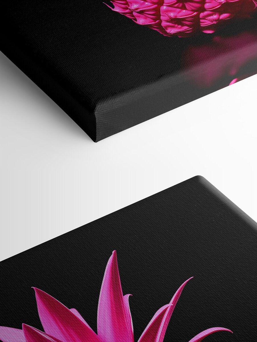 Eine rosa Ananas mit schwarzem Hintergrund Eine rosa Ananas mit schwarzem Hintergrund
