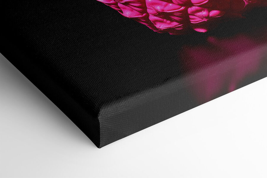 Eine rosa Ananas mit schwarzem Hintergrund Eine rosa Ananas mit schwarzem Hintergrund