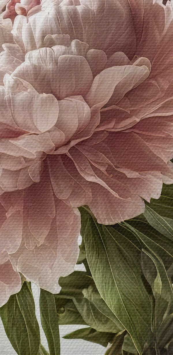 Eine Vase mit rosa und weißen Blumen Eine Vase mit rosa und weißen Blumen
