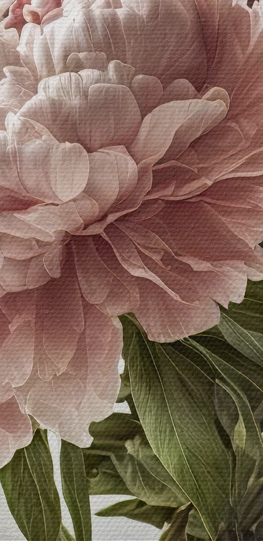 Eine Vase mit rosa und weißen Blumen Eine Vase mit rosa und weißen Blumen