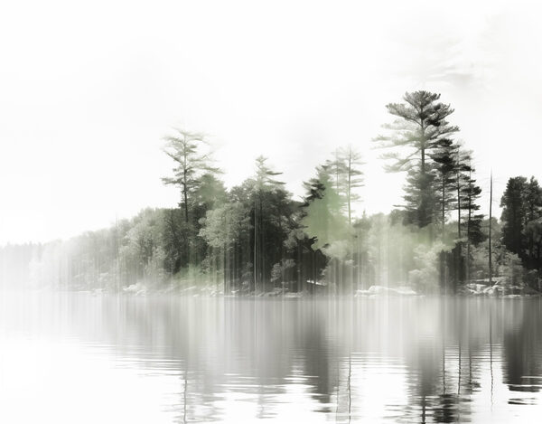 Wasserfläche mit Bäumen und Nebel Wasserfläche mit Bäumen und Nebel