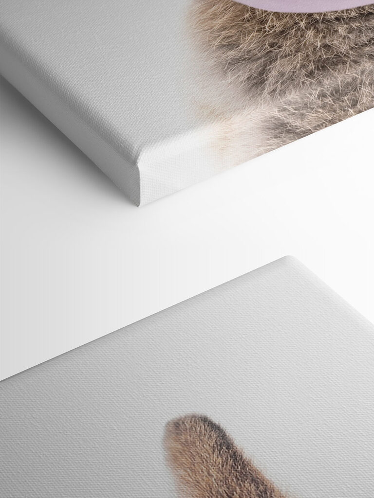 A rabbit with a bubble gum A rabbit with a bubble gum