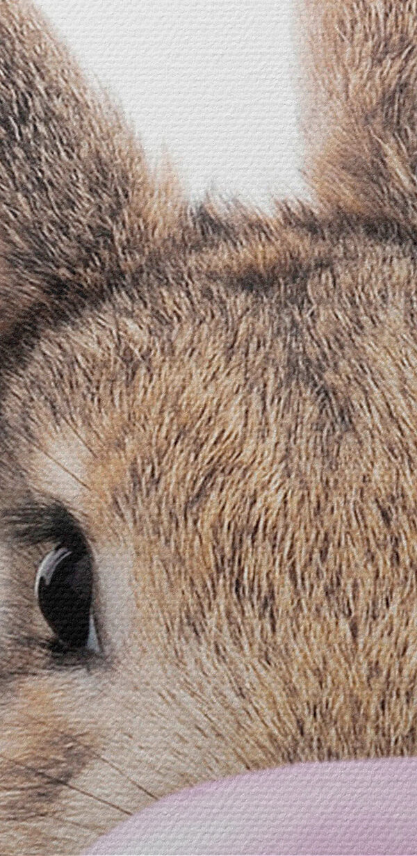 A rabbit with a bubble gum A rabbit with a bubble gum