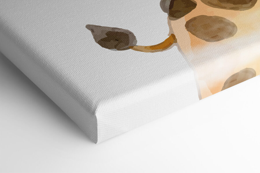 Eine Giraffe mit weißem Hintergrund Eine Giraffe mit weißem Hintergrund