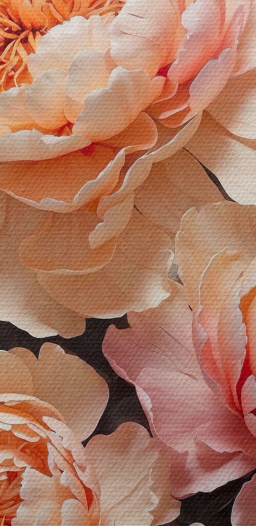 Peonies blooming amid lush foliage