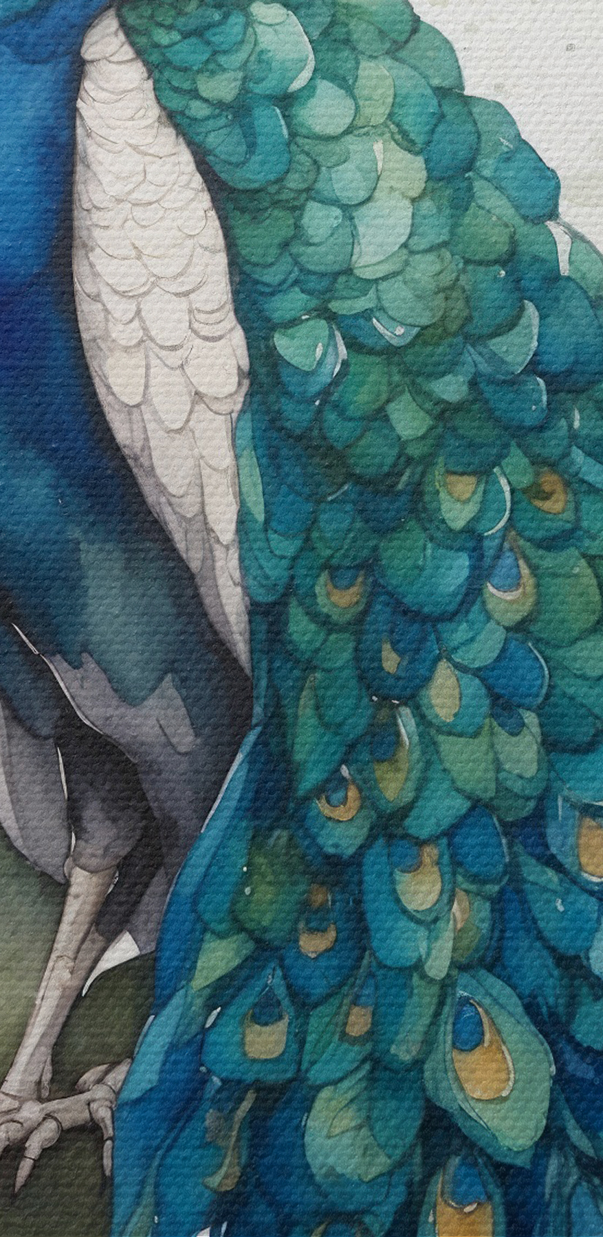 Ein Aquarell eines Pfaus