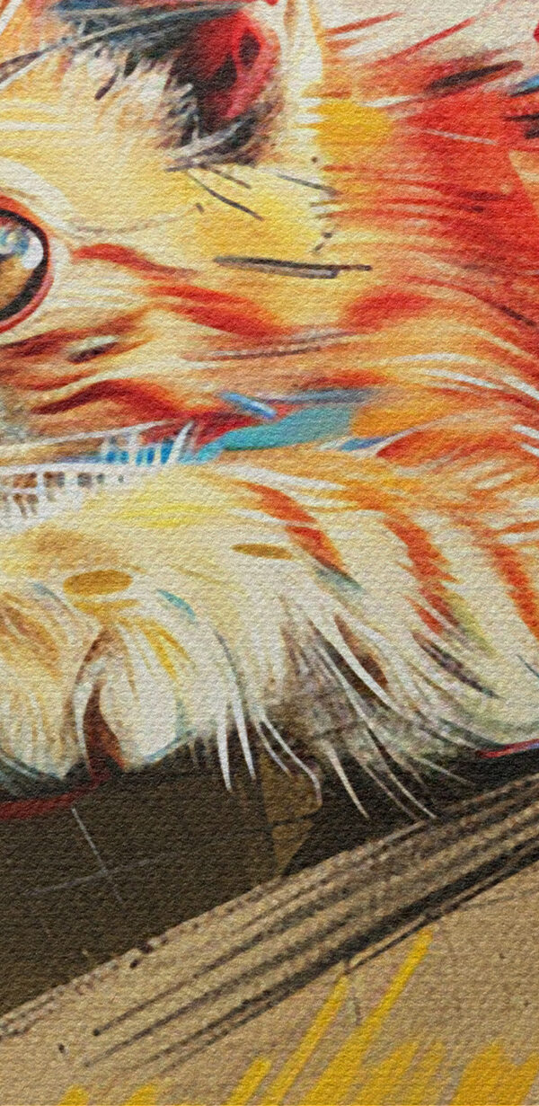 Eine Katze, die auf einer Schachtel liegt Eine Katze, die auf einer Schachtel liegt