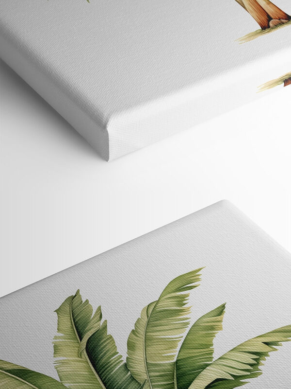 Palm tree with large leaves Palm tree with large leaves