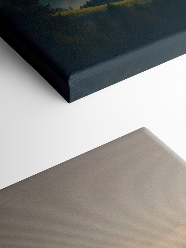 Mountain range with trees and fog