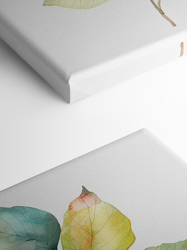 Watercolor of a leaf