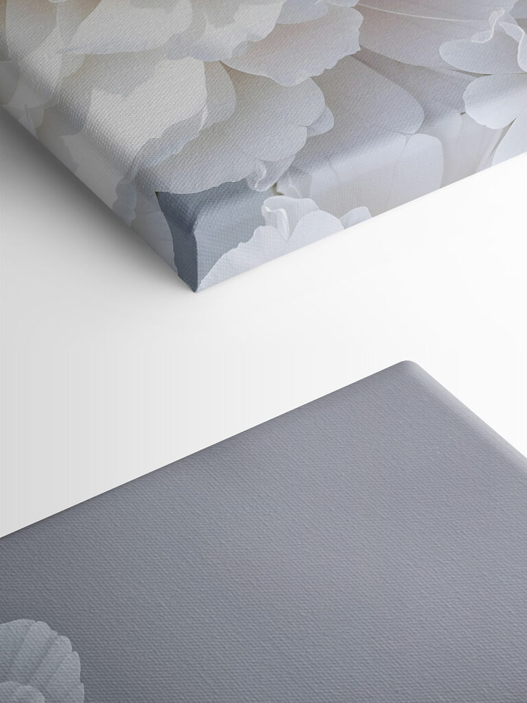 Close up of white flowers