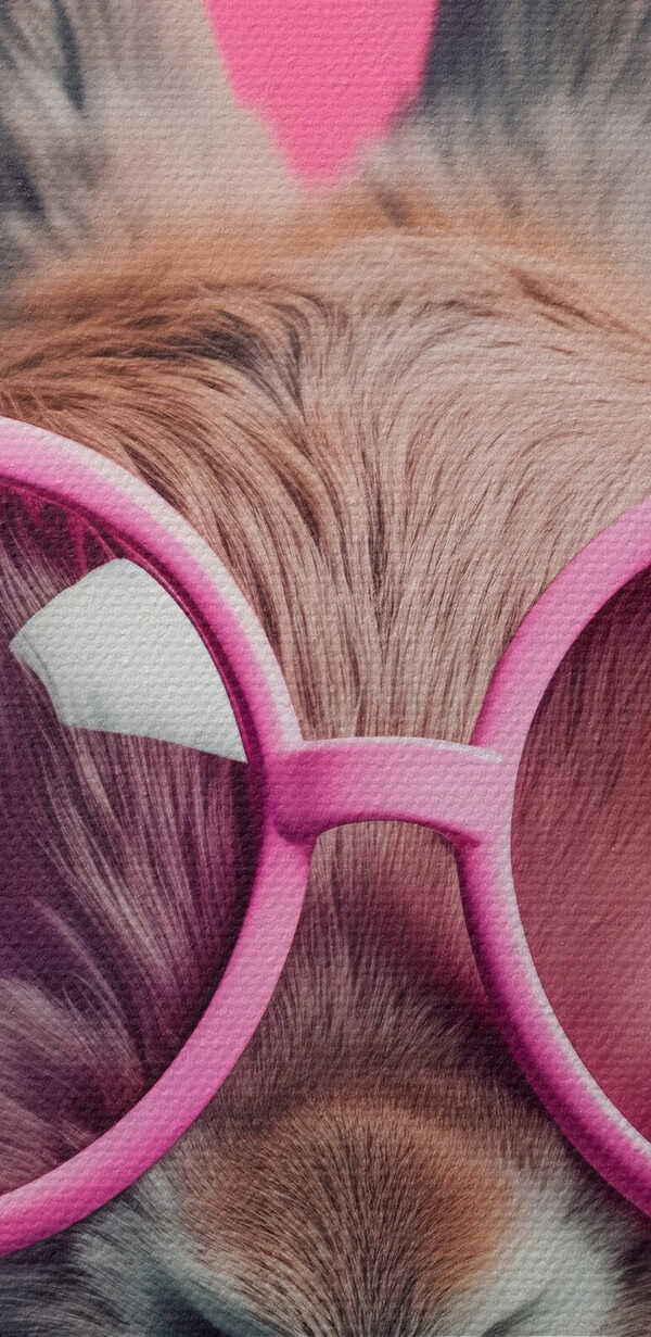 Kaninchen mit rosa Brille Kaninchen mit rosa Brille