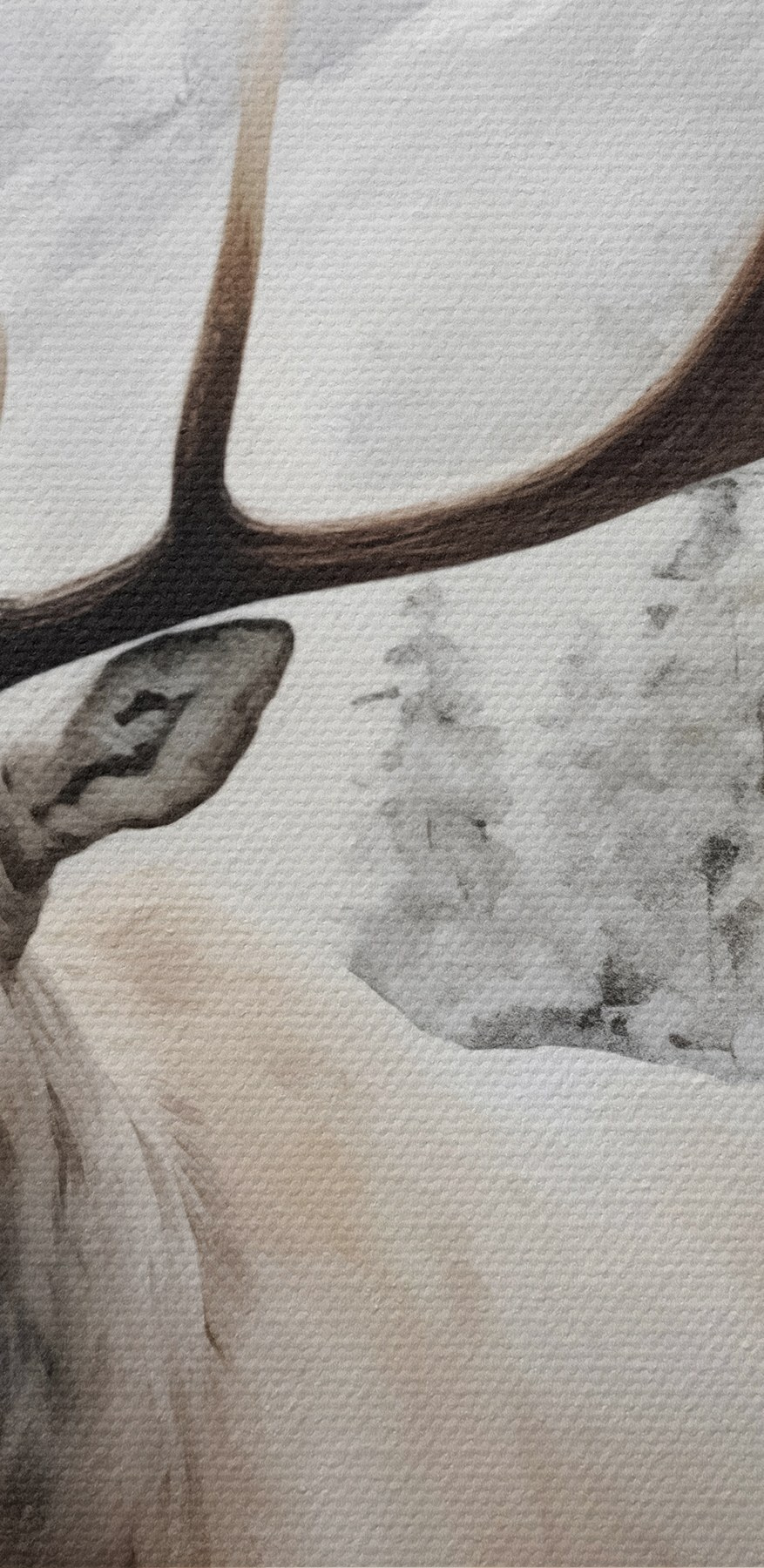 Elch mit großem Geweih in einem verschneiten Wald stehend