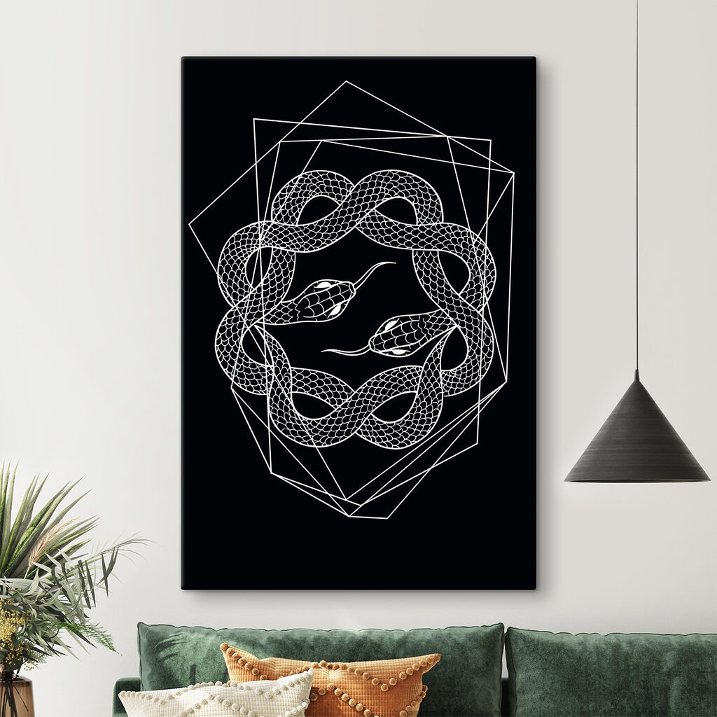 A white snake in a circle