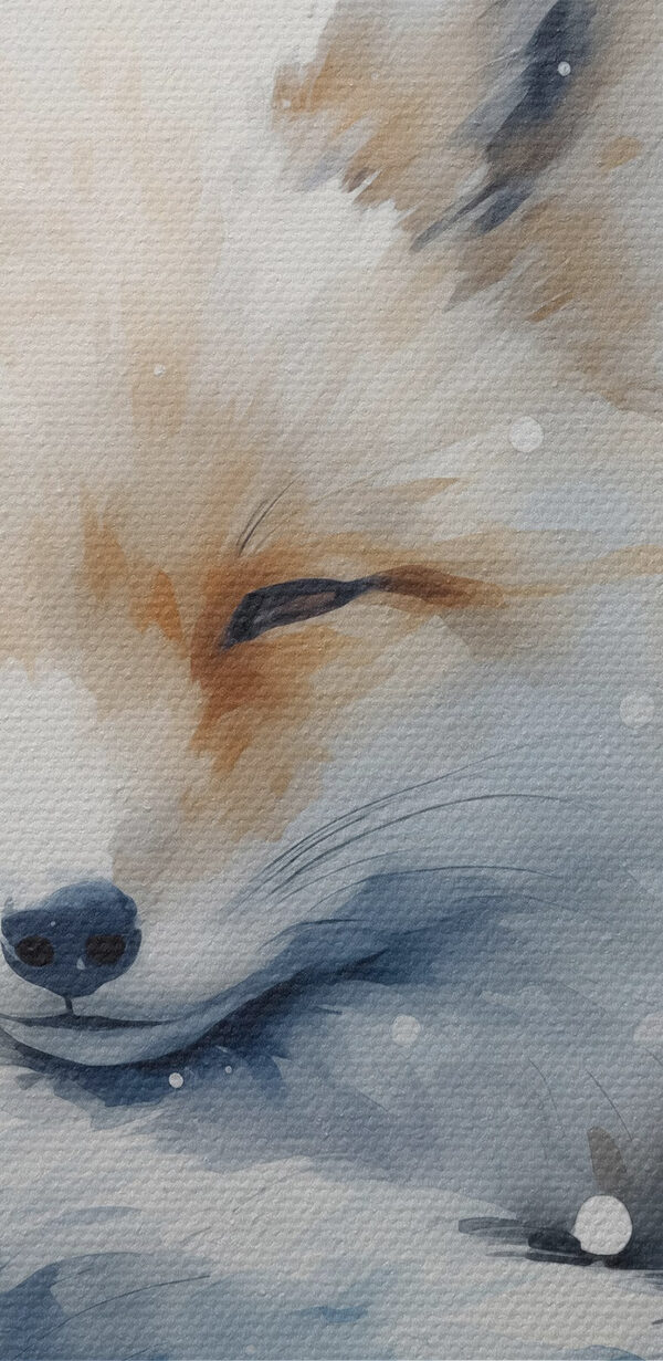 Aquarell eines im Schnee liegenden Fuchses Aquarell eines im Schnee liegenden Fuchses