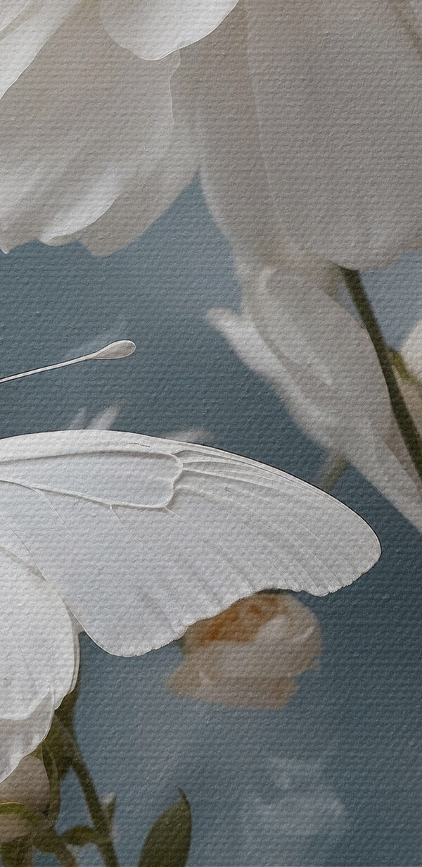Schmetterling auf einer Blume Schmetterling auf einer Blume
