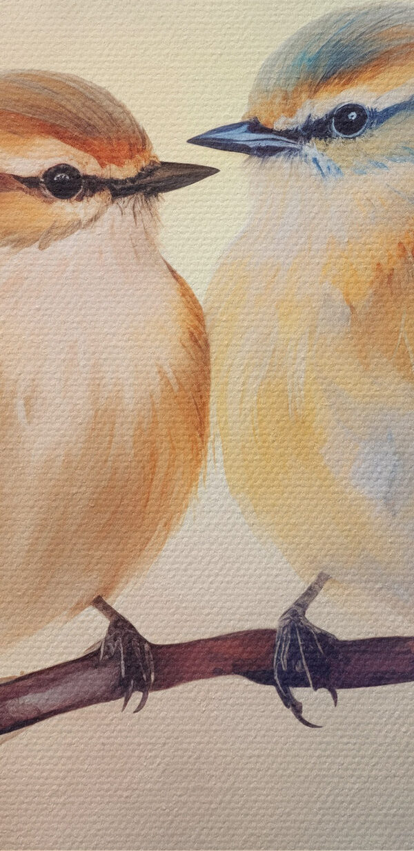 Zwei Vögel auf einem Ast Zwei Vögel auf einem Ast