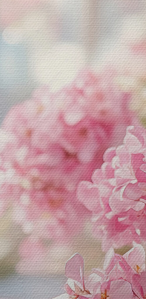 Bunch of pink flowers