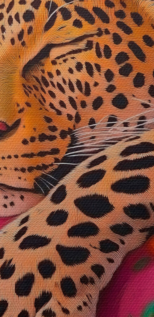 Leopard sleeping on a pink couch Leopard sleeping on a pink couch