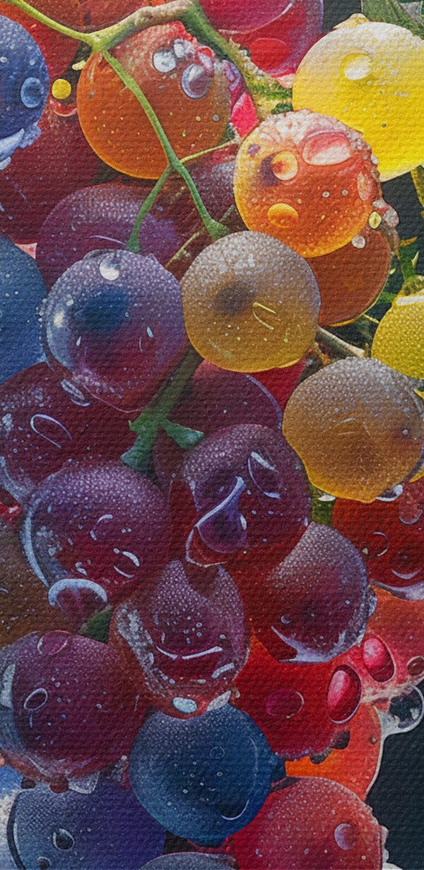 Bunte Weintrauben mit Wassertropfen darauf Bunte Weintrauben mit Wassertropfen darauf