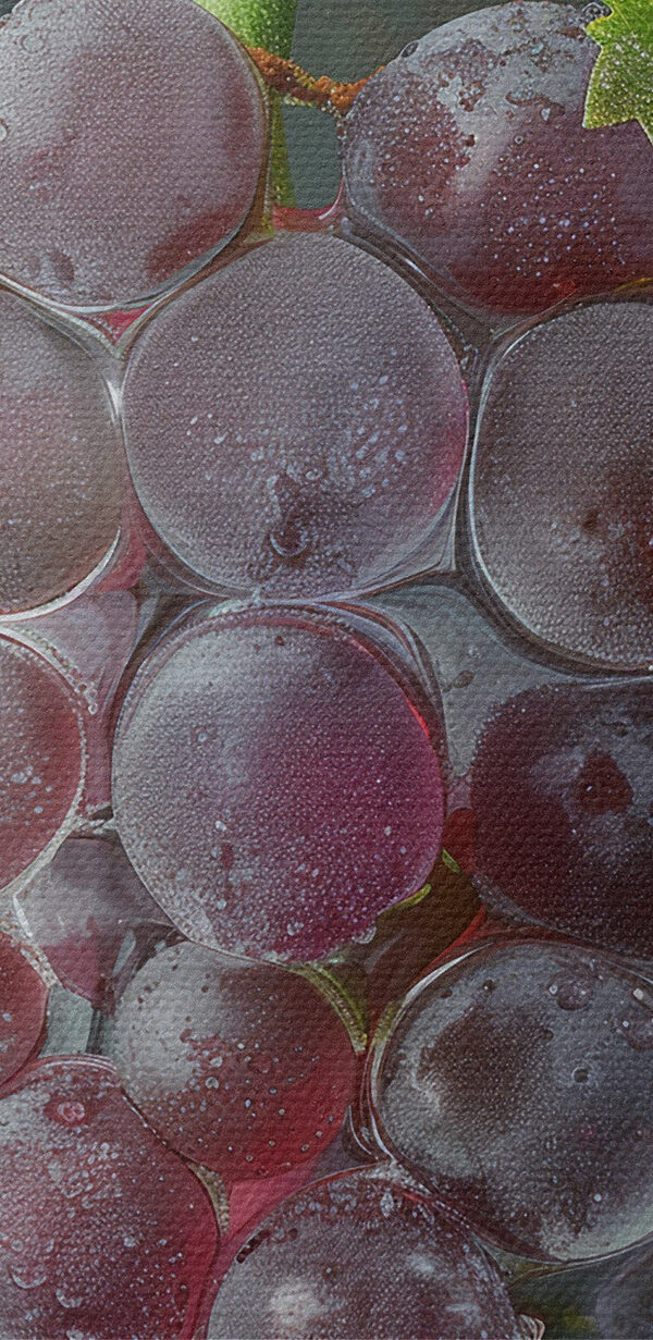 Weintrauben mit Wassertropfen auf der Spitze Weintrauben mit Wassertropfen auf der Spitze