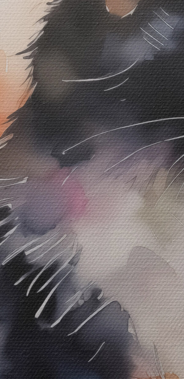 Katze mit weißem und schwarzem Gesicht Katze mit weißem und schwarzem Gesicht