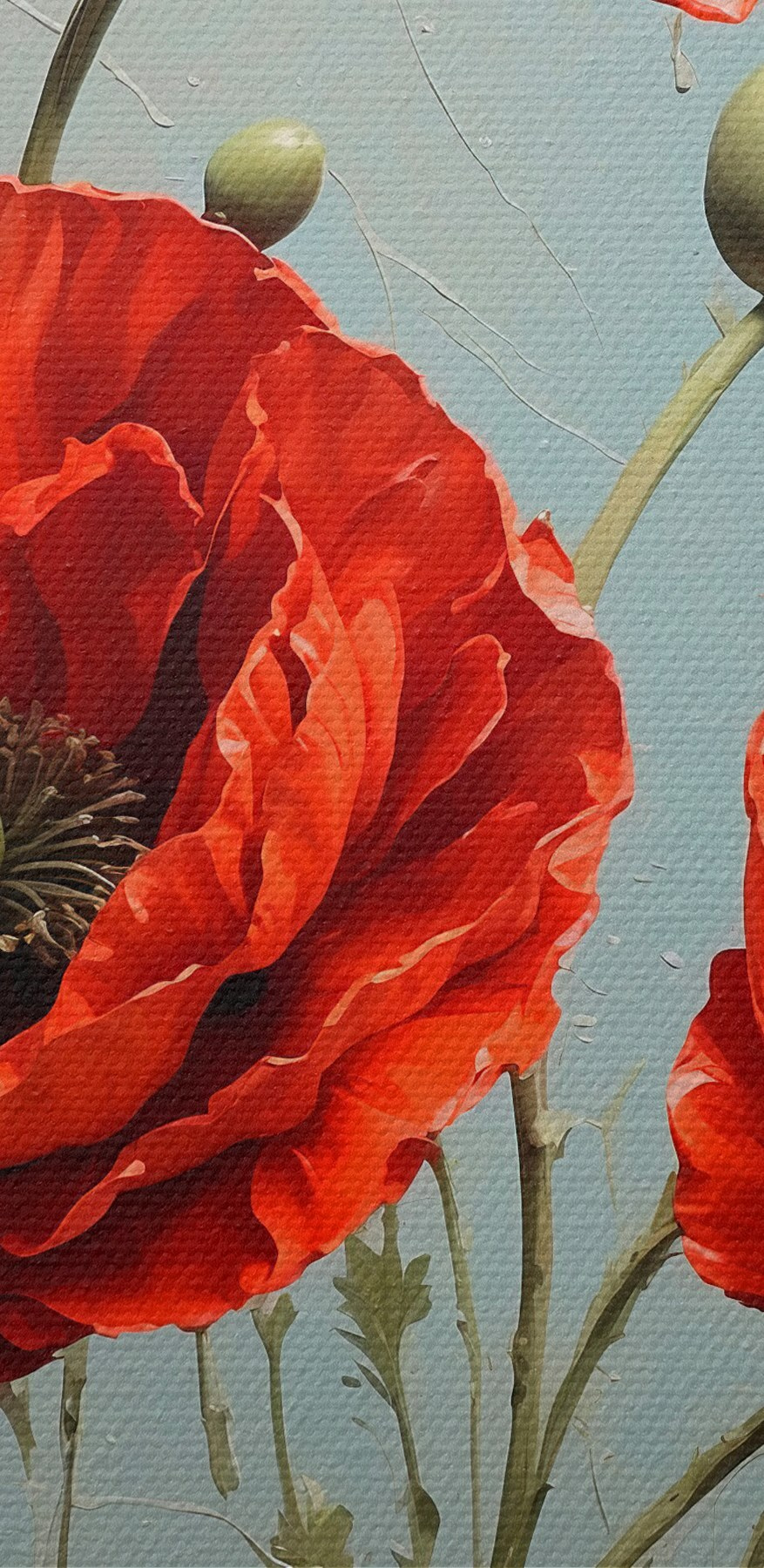 Kräftig rot blühender Mohn Kräftig rot blühender Mohn