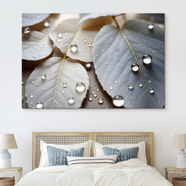 Nature's delicate droplets on leaves