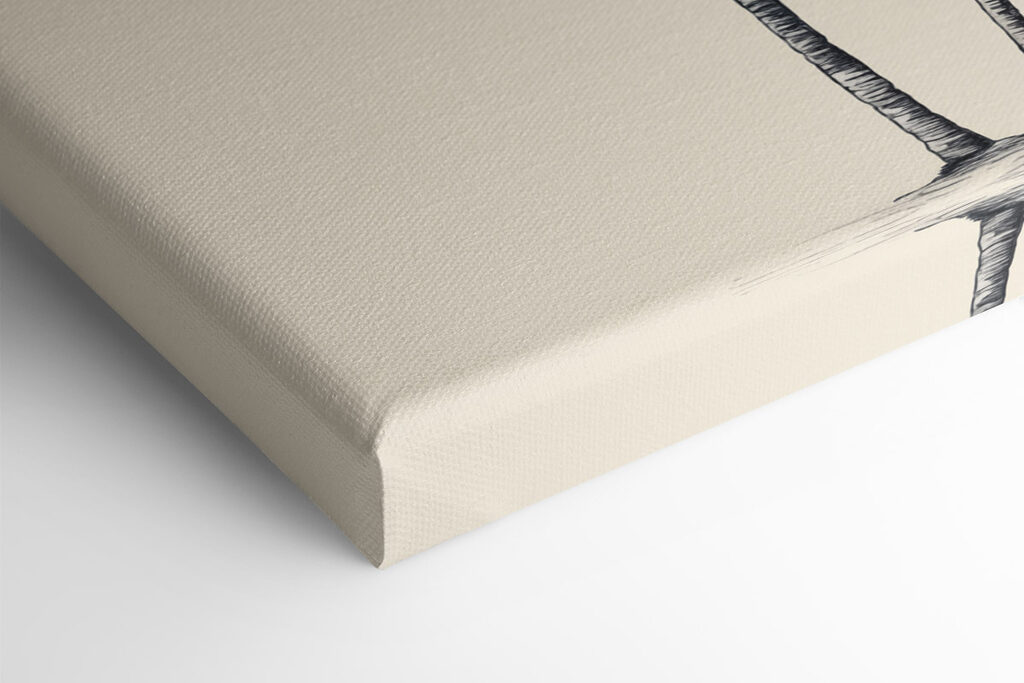 Group of palm trees Group of palm trees