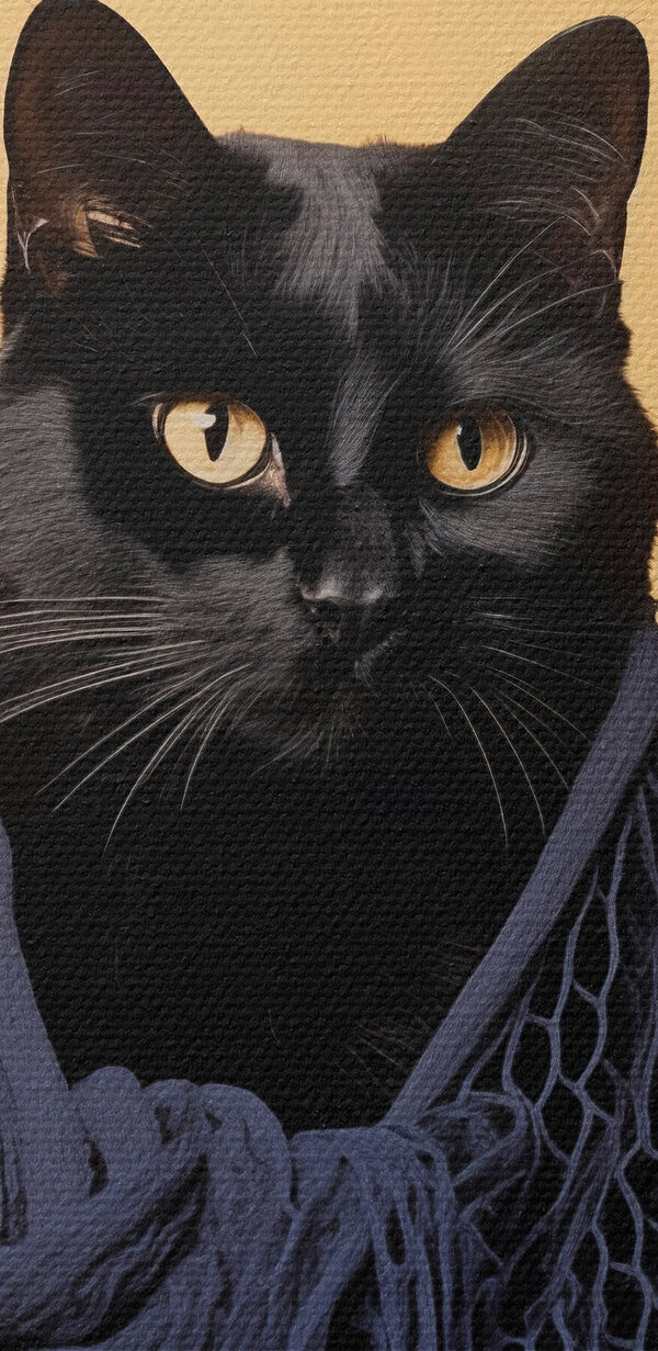 Katze mit Netz Katze mit Netz