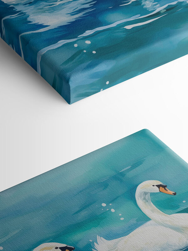 Zwei Schwäne schwimmen im Wasser Zwei Schwäne schwimmen im Wasser