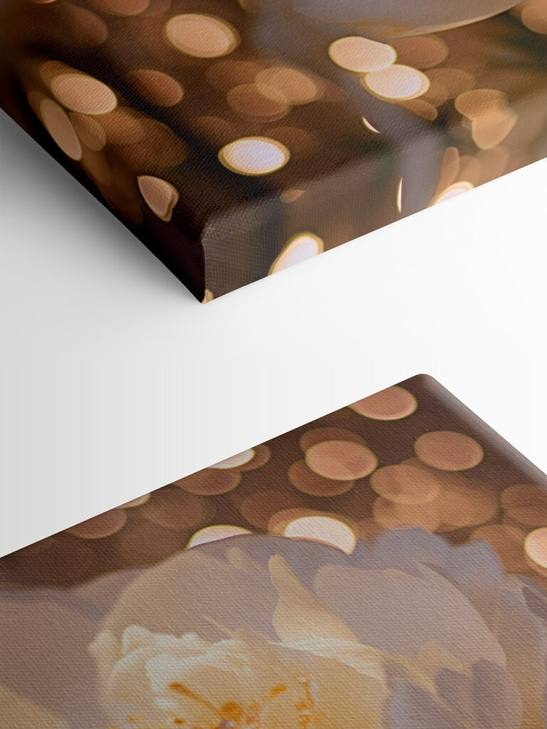 Delicate petals in soft hues Delicate petals in soft hues