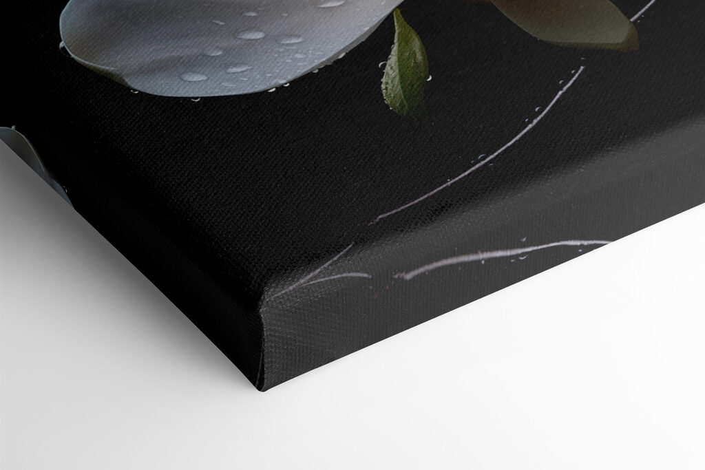 Delicate blossoms adorned with droplets Delicate blossoms adorned with droplets