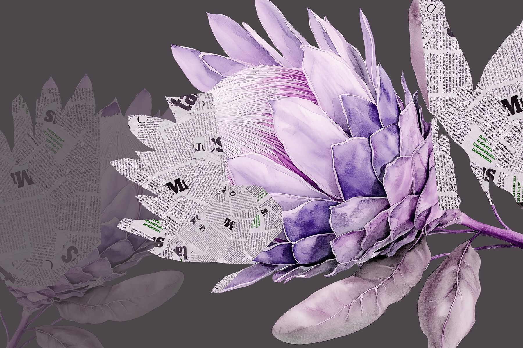 Purple flower with newspaper