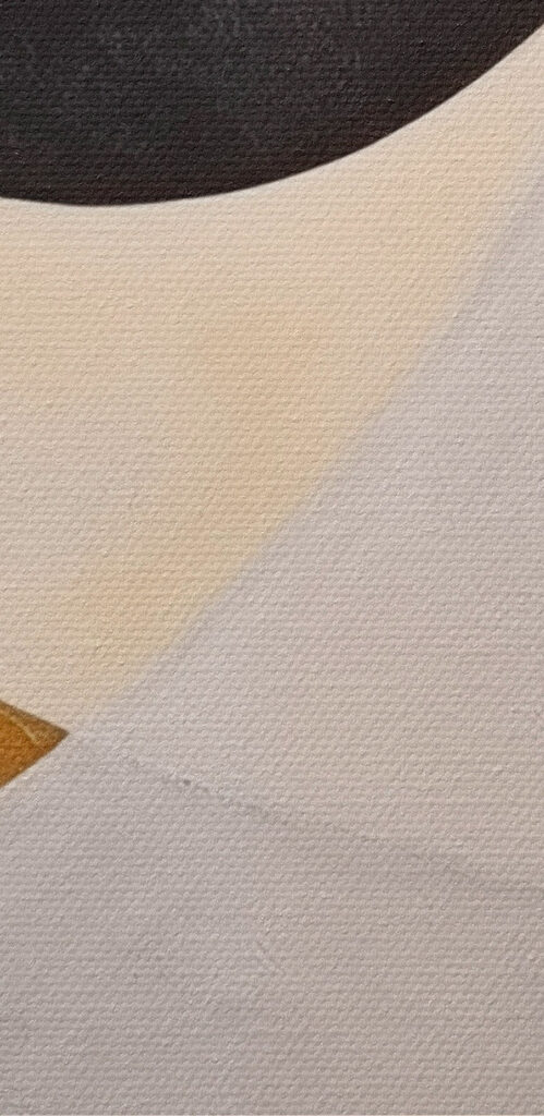 Dynamic shapes in monochrome harmony