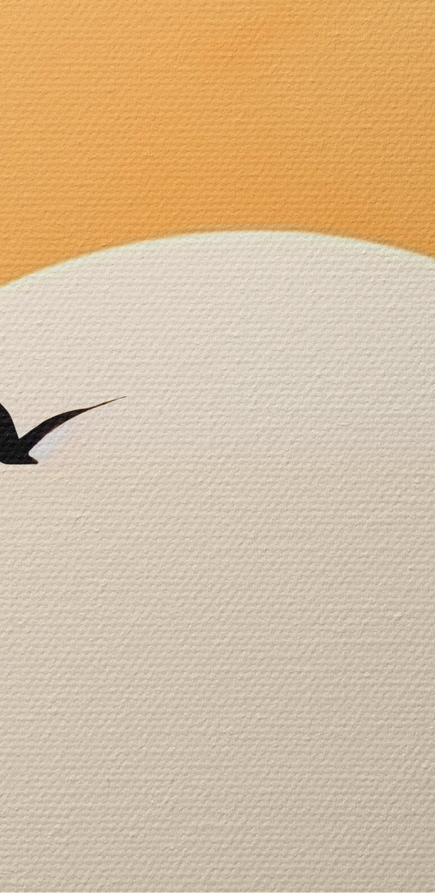 Vogel fliegt in den Himmel