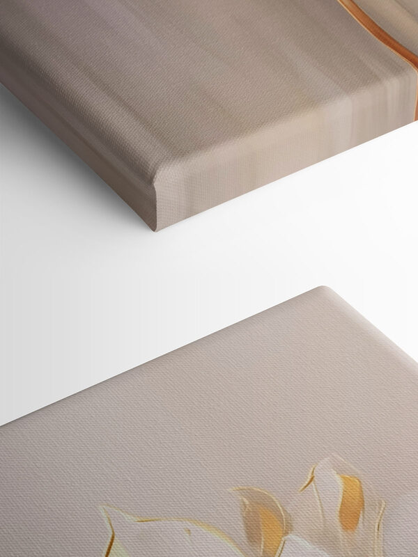 Elegant bloom in soft hues Elegant bloom in soft hues