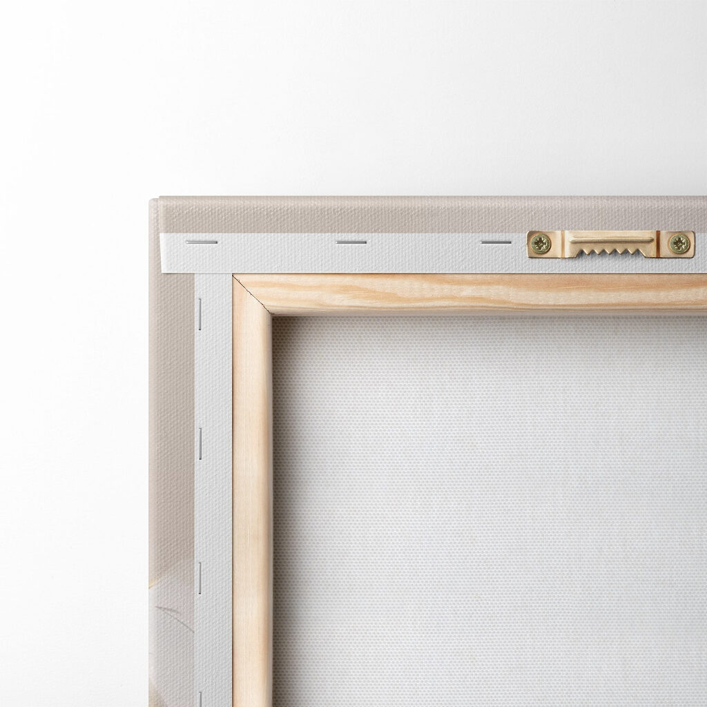 Elegant bloom in soft hues Elegant bloom in soft hues