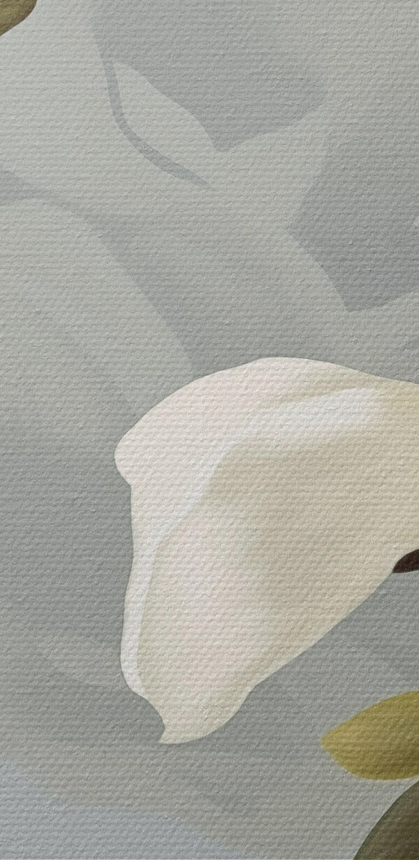 Beautiful magnolias in soft hues