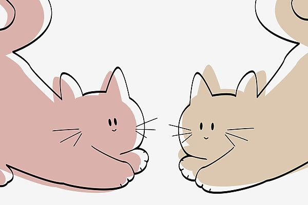 Ein paar liegende Katzen Ein paar liegende Katzen