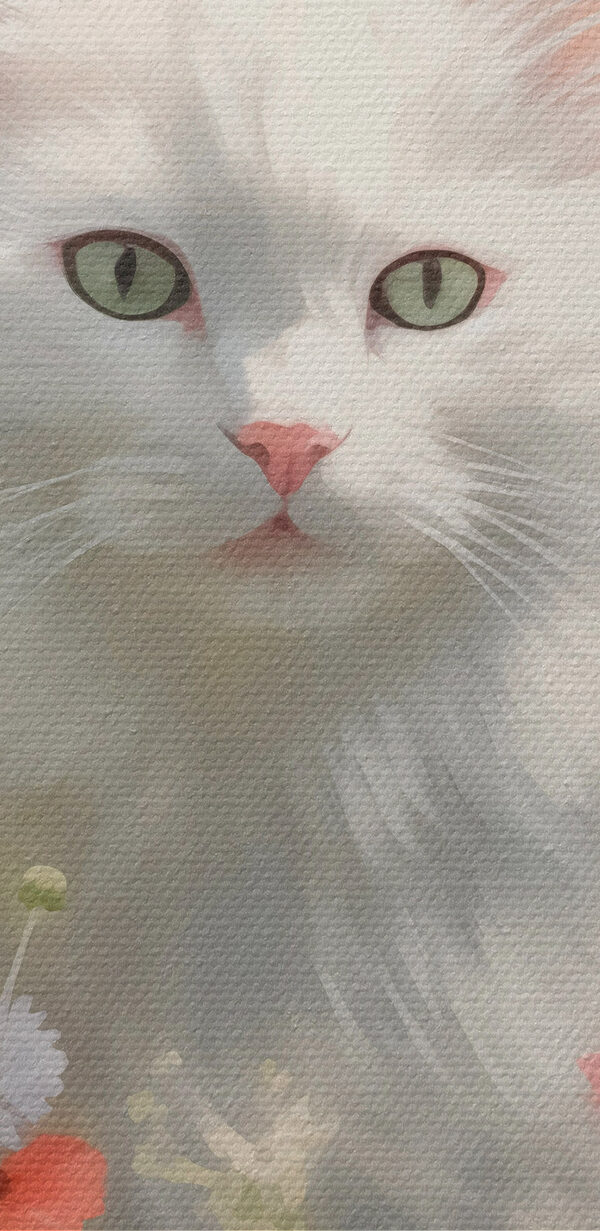 Weiße Katze in einem Blumenfeld Weiße Katze in einem Blumenfeld