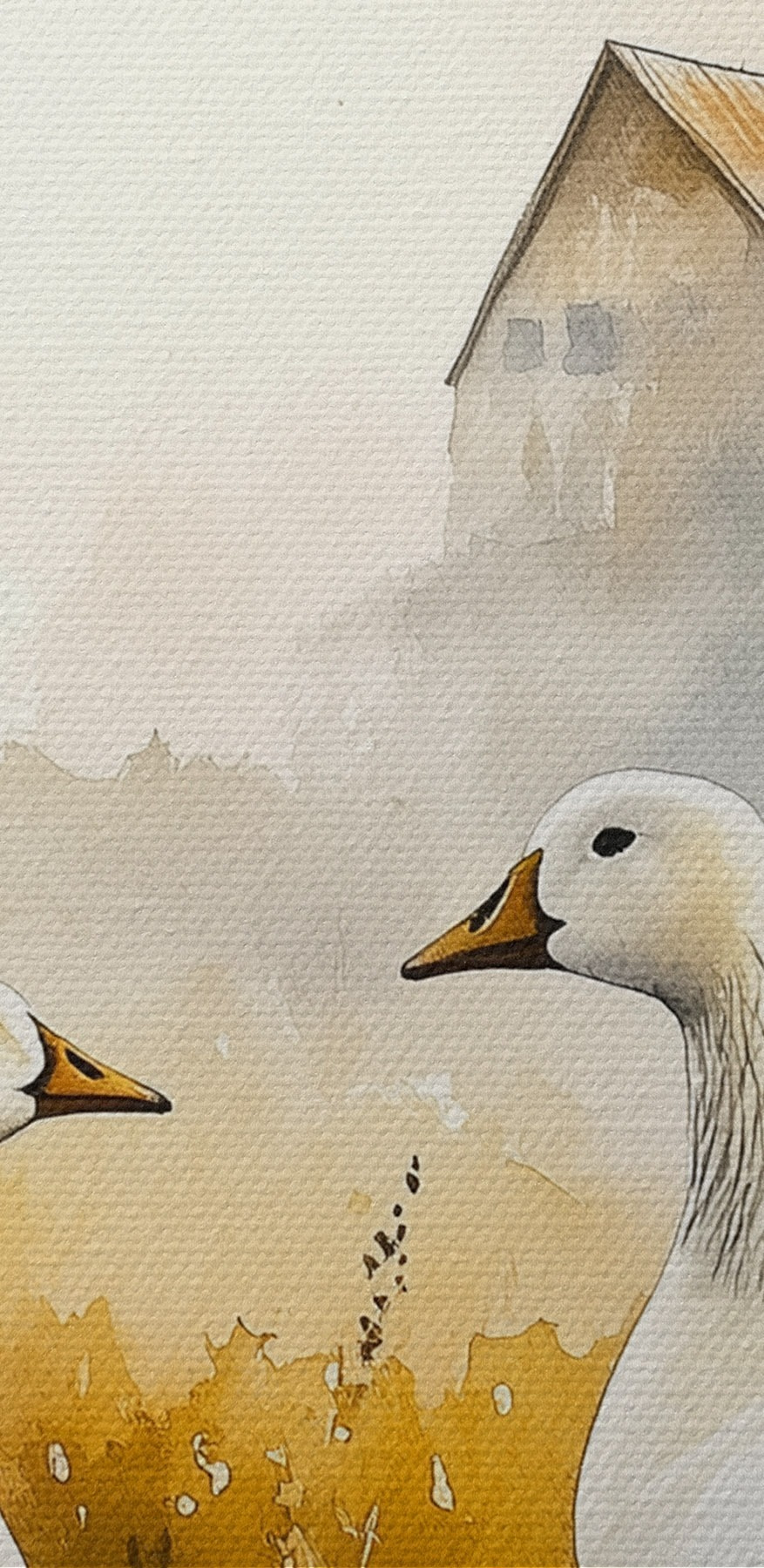 Aquarell von zwei Gänsen in einem Feld