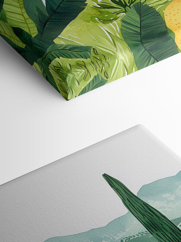 House with a pool and trees