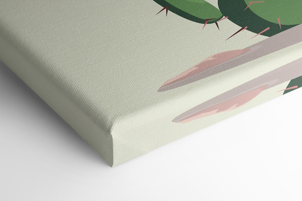 Cactus with pink flowers